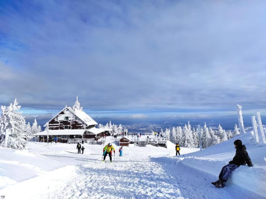 Osrodek Wypoczynkowy Zapalenica Bed & Breakfast Szczyrk Dış mekan fotoğraf